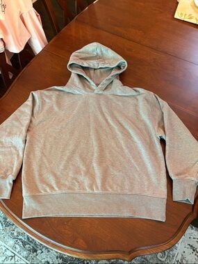 American Eagle Outfitters Light Gray Pullover Hoodie